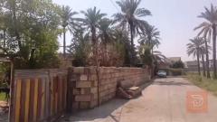 بيت 500 متر مربع خلف حي أبو مجاهد للبيع في ديالى