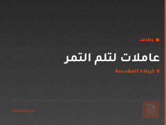 عاملات لتلم التمر — كربلاء المقدسة