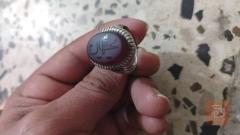 ولد انطانية - حجم كبير للبيع في كربلاء المقدسة