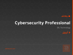 Cybersecurity Professional — أربيل