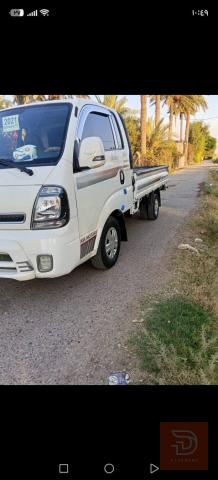 كيه بنكو حمل 2021 للبيع في بغداد