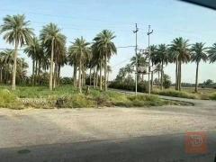 أرض 5 دونم على شارعين للبيع في عموم العراق