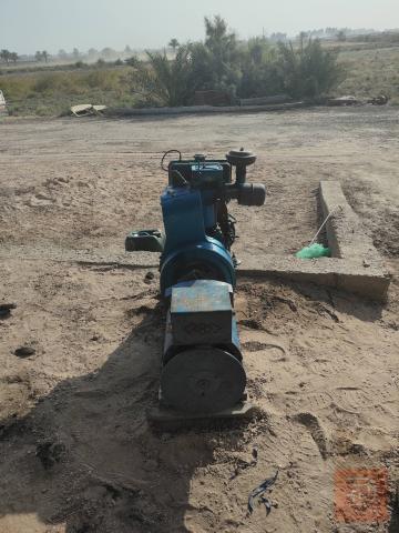مولدة هندي جاهزة للبيع في بغداد
