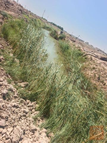 دونم زراعي طريق حي كوت غريب للبيع في واسط