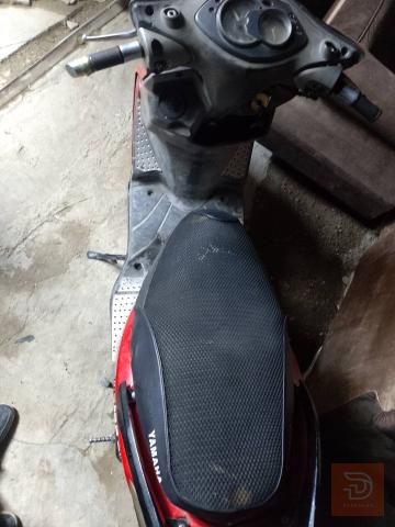 دراجة سكنس فحل كاملة مستعمل للبيع في بغداد
