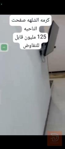 بيت في البصرة مساحة 200 متر للبيع