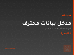 مدخل بيانات محترف — البصرة