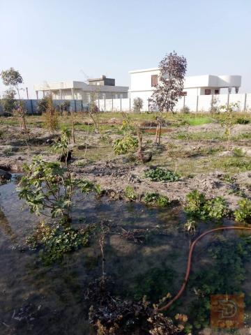 مزرعة جاهزة للسكن مع دار بناء حديث 2500 م للبيع في بغداد