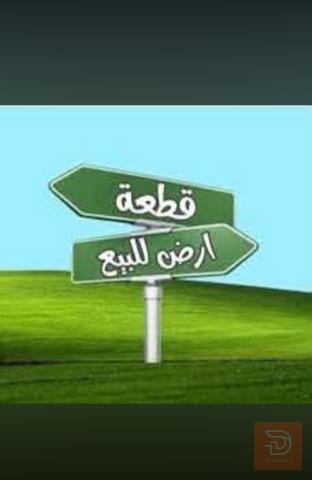 قطعة أرض ١٠٠ متر سند ٢٥ للبيع في الأنبار