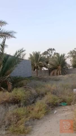 قطعة أرض مساحة 200 متر في السجر للبيع في الأنبار