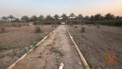 ارض 2000م في كربلاء نهر السلام للبيع