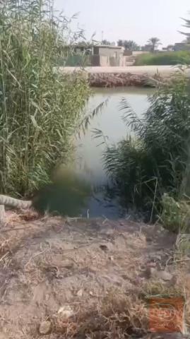 أرض ٦ دوانم طابو تحويل مباشر للبيع في الأنبار