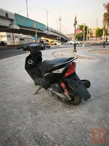 دراجة ماكس ثعلب كفالة عامة مستعمل للبيع في بغداد
