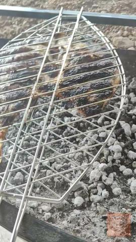 سمك مسگوف طازج للبيع في أربيل