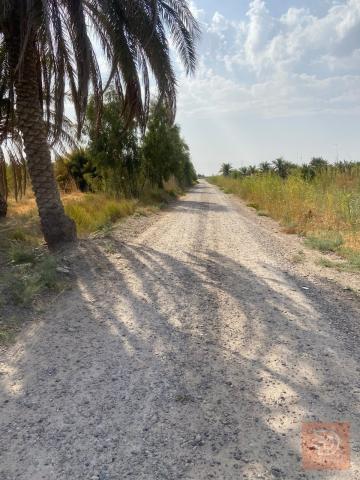 أرض بموقع جيد في التاجي 10 دونم للبيع في بغداد