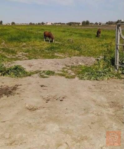 أرض بموقع جيد في التاجي 10 دونم للبيع في بغداد