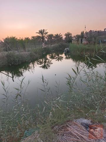 أرض 3000 متر في أبو الخصيب للبيع في البصرة