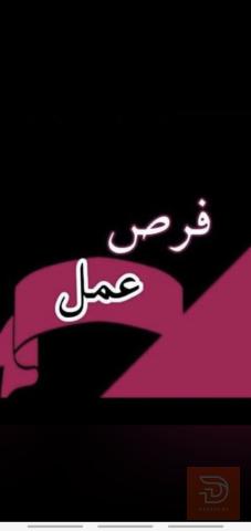 مقدمة بث مباشر تيكتوك — بغداد