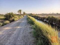 أرض 5 دوانم للبيع في بغداد