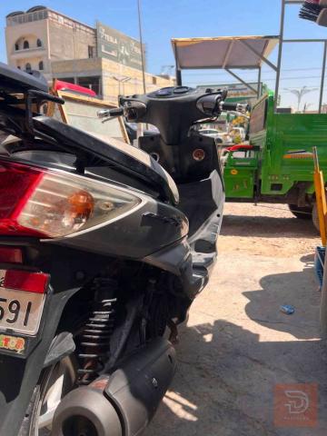 سكنس فحل ياباني قبق نفخ للبيع في بغداد
