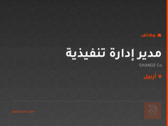مدير إدارة تنفيذية — SHANDZ Co — أربيل