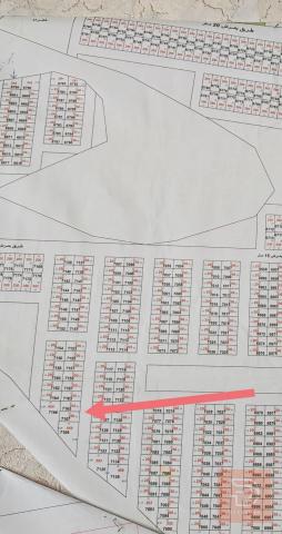 قطعة أرض في الداحرة مساحة 200 متر للبيع في واسط