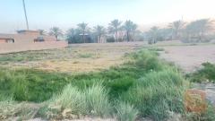 قطعة أرض في الرمادي البوذياب 1000 م للبيع في الأنبار