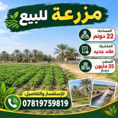 مزرعة مساحة 22 دونم للبيع في البصرة