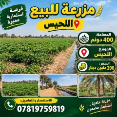 مزرعة في اللحيس 400 دونم للبيع في البصرة
