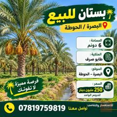 بستان في البصرة 6 دونم للبيع