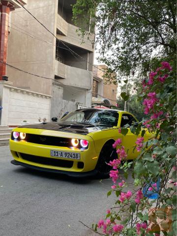 دوج تشالنجر 2015 للبيع في بغداد