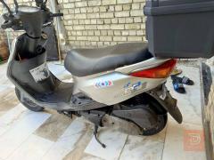 دراجة بريز ببغاء جديدة للبيع في بغداد