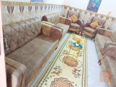 تر برو تخم تركي 14 مقعد جديد للبيع في كربلاء المقدسة