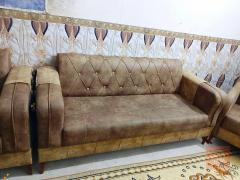 تر برو تخم تركي 14 مقعد جديد للبيع في كربلاء المقدسة