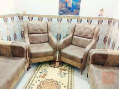 تر برو تخم تركي 14 مقعد جديد للبيع في كربلاء المقدسة