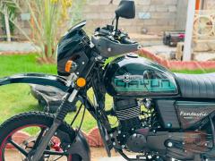 ديوان 2025 للبيع في ديالى