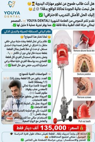 نموذج تعليمي لمحاكاة الفك YOUYA DENTAL جديد للبيع في واسط