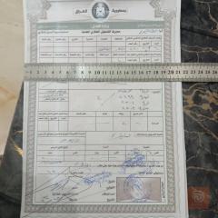 أرض 200 م للبيع في البصرة
