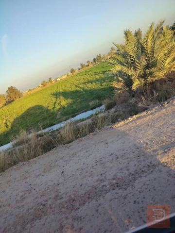 ارض شاطئية على ذراع دجلة 5 دوانم للبيع في بغداد