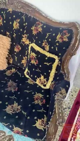 تخم زان مصري للبيع في بغداد
