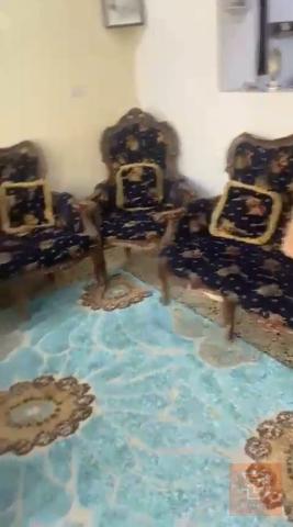 تخم زان مصري 10 مقاعد للبيع في بغداد