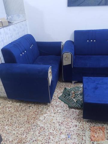 تخم في كربلاء للبيع