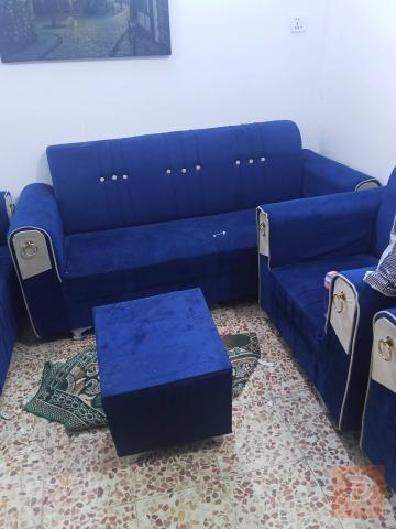 تخم في كربلاء للبيع