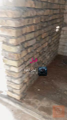 تركيب سيراميك جداري وأرضي وبورسلين في كربلاء المقدسة