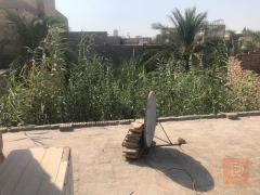 ارض 250 م للبيع في كربلاء المقدسة