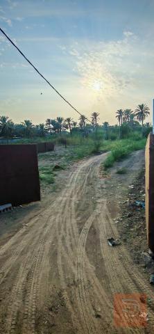 قطعة أرض طابو زراعي 1250 متر للبيع في بابل