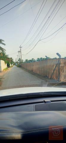 قطعة أرض طابو زراعي 1250 متر للبيع في بابل