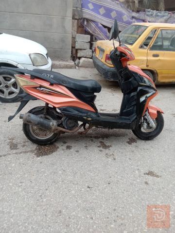 جامبو 2022 للبيع في بابل