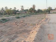 قطع اراضي 200 متر للبيع في البصرة
