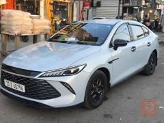 BYD كن بلاص هايبرد 2025 للبيع في بغداد